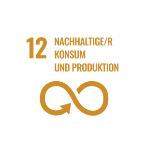 Icon SDG 12 Nachhaltiger Konsum und Produktion