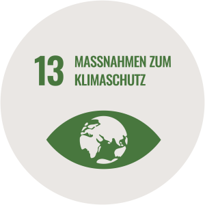 Icon SDG 13 Massnahmen zum Klimaschutz