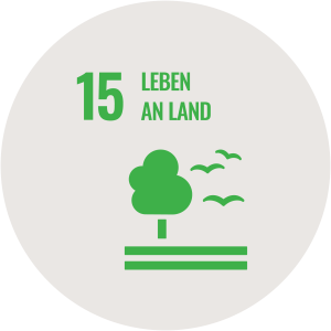 Icon SDG 15 Leben an Land