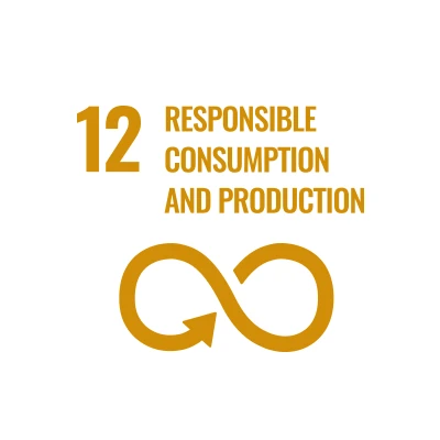 Icon SDG 12 Responsible Consumption and Production