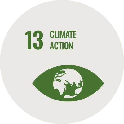 Icon SDG 13 Climate Action