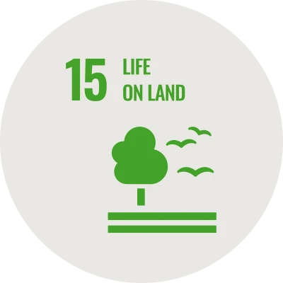 Icon SDG 15 Life on Land